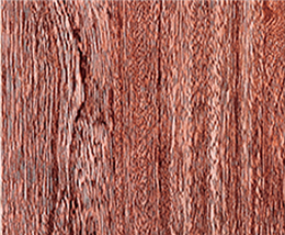 Mw-65 Crystal Swimming teak